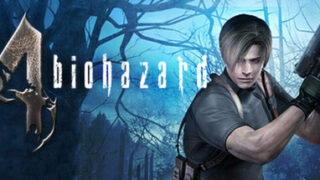 steam cover 254700