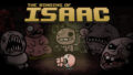 steam cover 113200