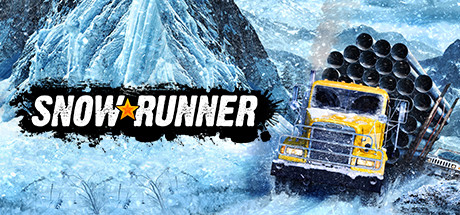 steam cover 1465360