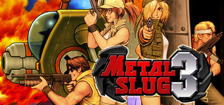 steam cover 250180