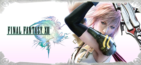 steam cover 292120
