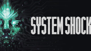 steam cover 482400