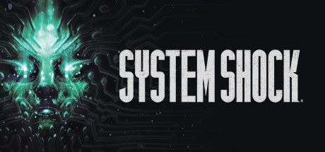 steam cover 482400